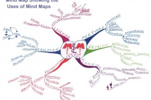 Mind Maps for Essay Writing (Guide Examples) - Focus - MindMeister