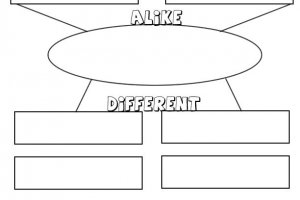 Types of Papers: Division amp; Classification